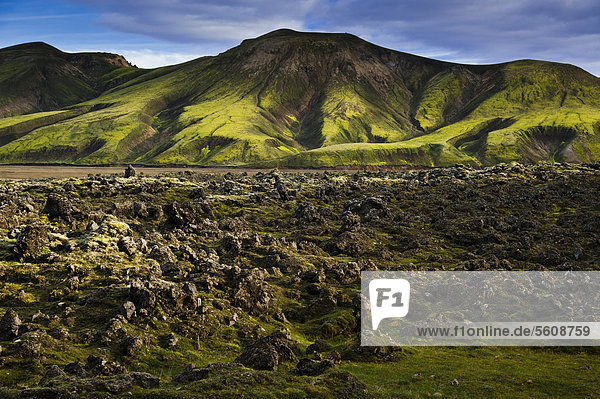 Lavafeld und Berge  Landmannalaugar  Fjallabak Naturschutzgebiet  Hochland  Island  Europa