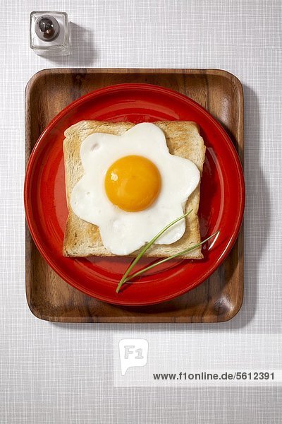 Toast with fried egg and salt shaker