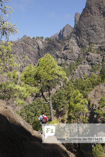 Woman hiking on trail in the Caldera de Taburiente National Park  La Palma  Canary Islands  Spain  Europe