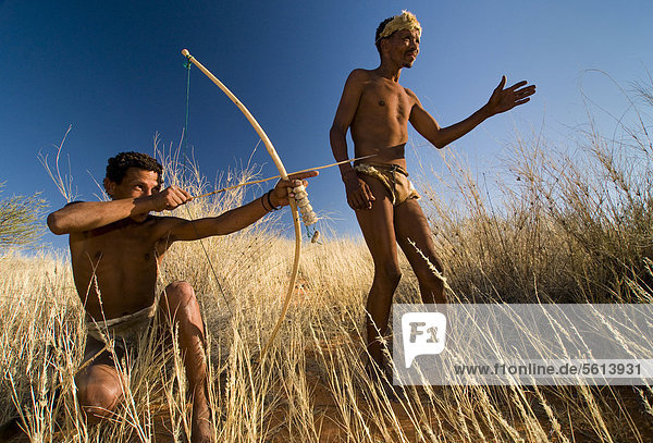 San  Bushmen  with a bow and arrow  near Andriesvale  Kalahari Desert  Northern Cape  South Africa  Africa
