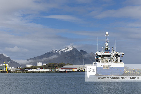 Fischtrawler im Hafen  Höfn  Island  Nordeuropa  Europa