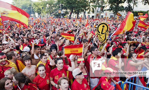 Spanish supporters gathering for viewing the final match  2010 FIFA World Cup Final  Madrid  Spain  Europe