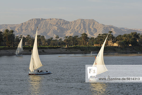 Felucken auf dem Nil  Luxor  Niltal  ƒgypten  Afrika