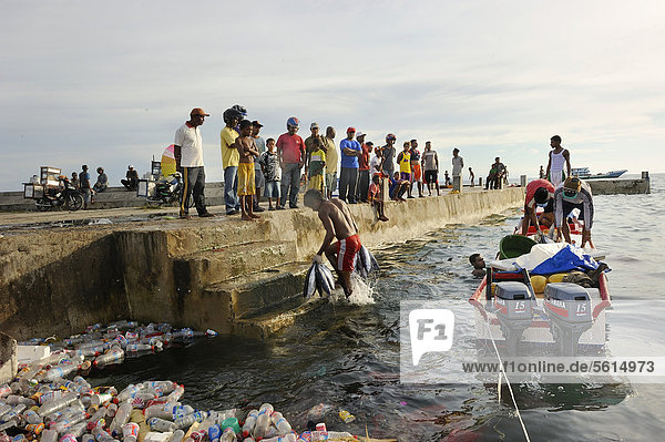 Fischer landen ihren Fang  bringen ihn zur Kaimauer  im Vordergrund schwimmender Plastikmüll  Kota Biak  Insel Biak  Irian Jaya  Indonesien  Südostasien  Asien