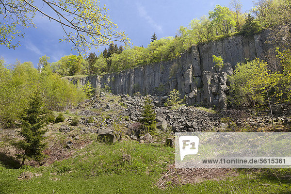 Basaltsäulen Butterfässer am Pöhlberg  832m  in Annaberg-Buchholz  Erzgebirge  Sachsen  Deutschland  Europa