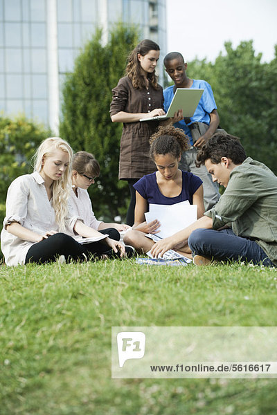 University students studying together on grass