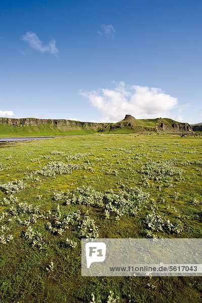Landschaft entlang der Route 1 zwischen Kirkjubaejarklaustur und Kalfafell  Island
