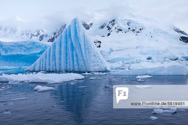 Bahia Paraiso Paradise Bay  Ice Formation  Antarctic Peninsula