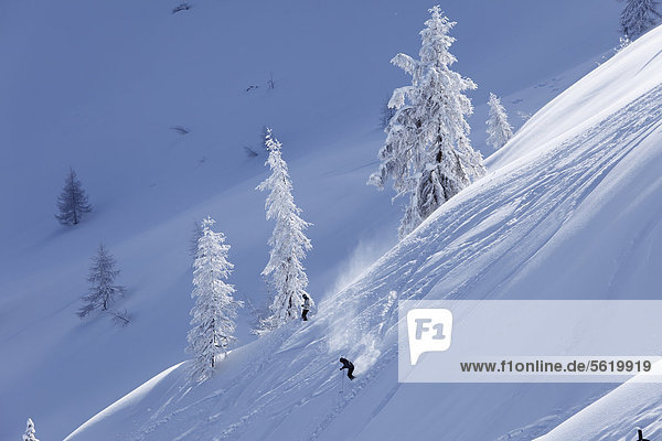 Tiefschnee  Hahn'l Piste  Skigebiet Reiteralm  Pichl-Preunegg bei Schladming  Steiermark  Österreich  Europa
