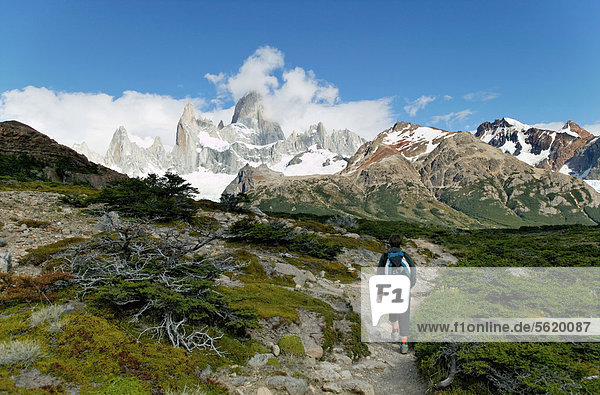 Los Glaciares National Park  UNESCO World Heritage Site  with Monte Fitz Roy  El Chalten  Cordillera  Santa Cruz province  Patagonia  Argentina  South America