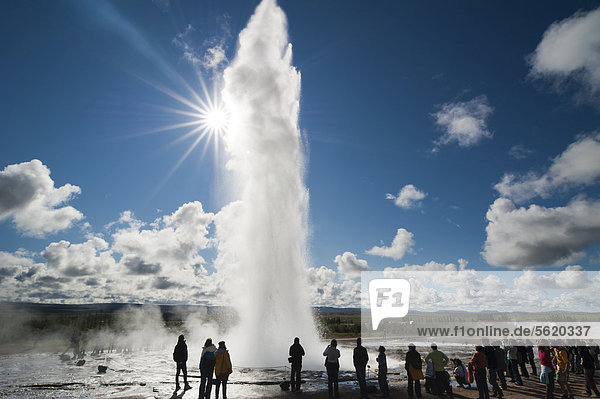 Touristen beobachten Dampf- und Wassersäule  Geysir Stokkur im Gegenlicht  Tal Haukadalur  Golden Circle  Su_urland  Sudurland  Süd-Island  Island  Europa