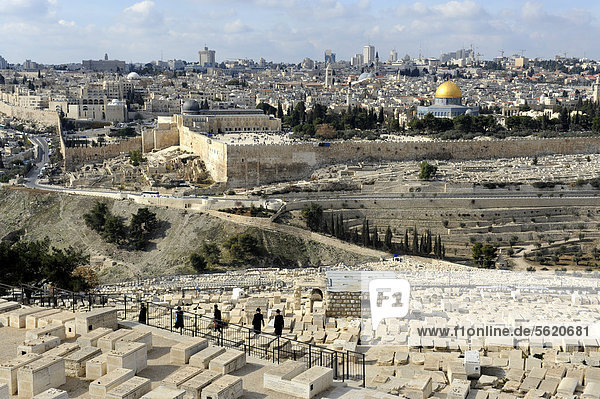 View from the Mount of Olives over the Jewish cemetary towards Al-Aqsa Mosque and the Dome of the Rock  Temple Mount  Old City of Jerusalem  Israel  Middle East  Western Asia  Asia