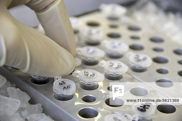 Laborarbeit  Chemie