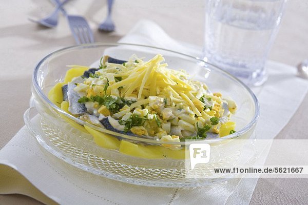 Heringssalat mit Käse  Kartoffeln  Ei und Petersilie