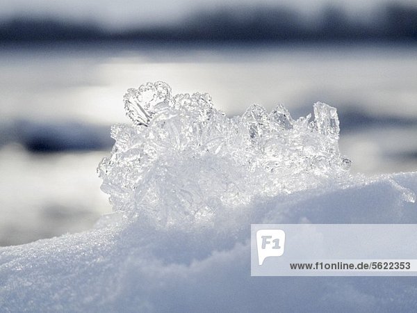 Eiskristall auf Schnee