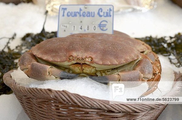 Gekochter Taschenkrebs auf dem Markt