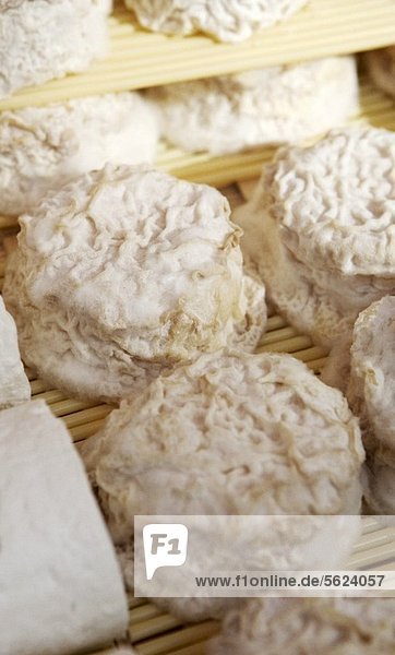 Rows of Goat Cheese
