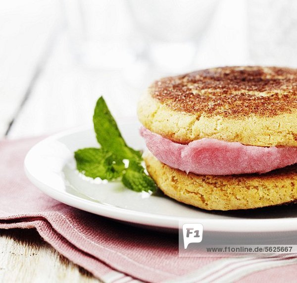 Raspberry Sorbet and Snickerdoodle Sandwich