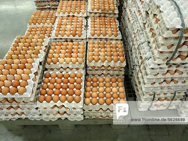 Braune Eier auf Eierpaletten in Supermarkt