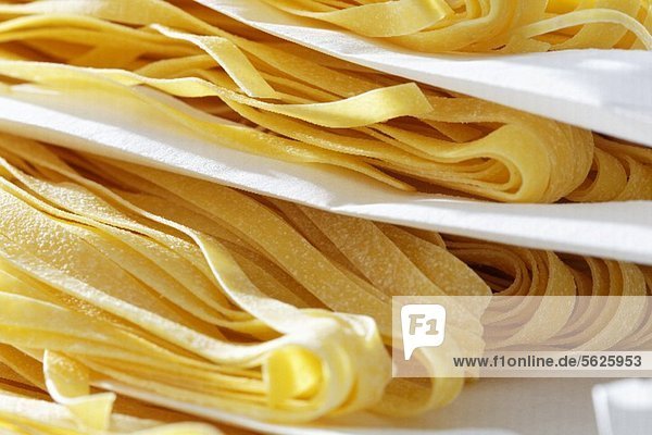 Fresh egg pasta