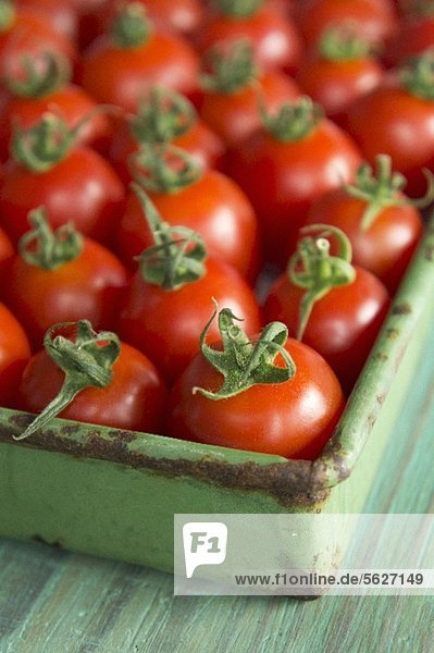 Viele Tomaten der Sorte Roma in einer Kiste