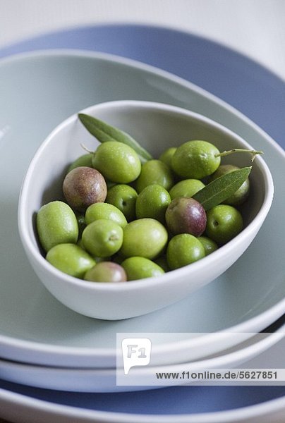 Frisch gepflückte Oliven im Schälchen