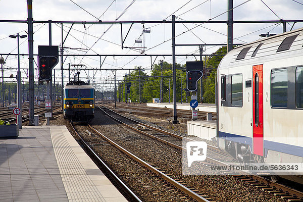 Zug in Ostende  Belgien  Europa