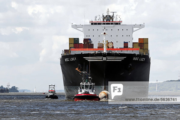 MSC LUCY Containerschiff  Baujahr 2005  324  85m  beim Einlaufen im Hamburger Hafen  Hansestadt Hamburg  Deutschland  Europa