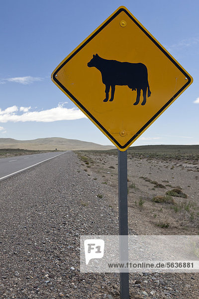 Vorsicht Rinder  argentinisches Schild  Perito Moreno  Patagonien  Argentinien  Südamerika  Amerika