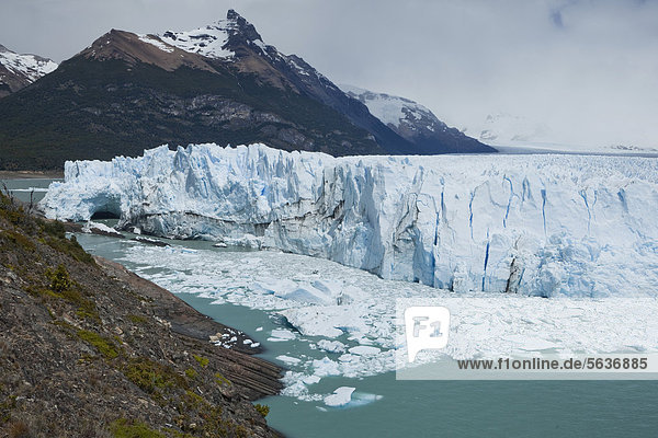Glacial ice from the Perito Moreno Glacier calving into the lake of Lago Argentino  Santa Cruz region  Patagonia  Argentina  South America  America