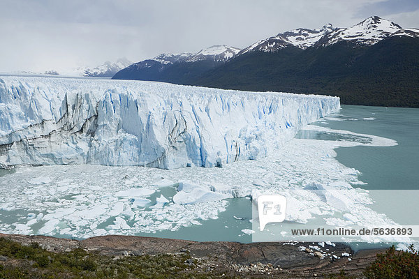 Gletschereis des Perito Moreno Gletschers kalbt in den Lago Argentino  Region Santa Cruz  Patagonien  Argentinien  Südamerika  Amerika