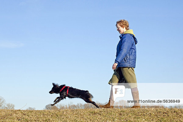 Frau geht mit Hund spazieren  Elbmarsch bei Bleckede  Niedersachsen  Deutschland  Europa