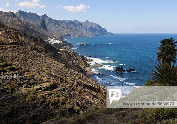Coastline near Taganana and Benijo  Anaga Mountains  Anaga  Tenerife  northeastern coast  Canary Islands  Spain  Europe