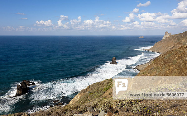 Coast near Benijo Anaga Mountains Anaga Tenerife northeastern coast Canary Islands Spain Europe