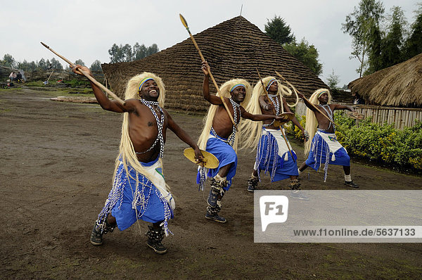 Traditional dancers during a folklore event in a village of former hunters near the village of Kinigi on the edge of the Volcanoes National Park  Parc National des Volcans  Rwanda  Africa