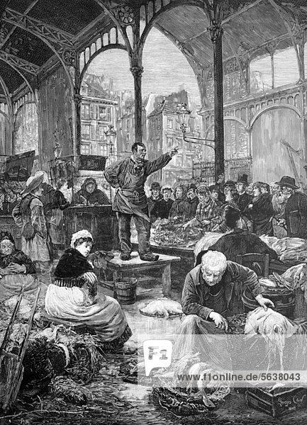 Fischmarkt in den Markthallen von Paris  Frankreich  historischer Holzstich  ca. 1888