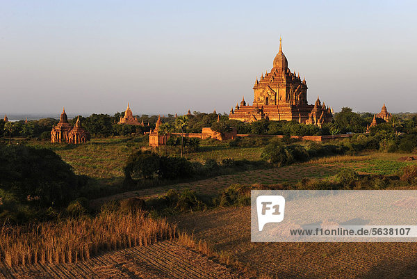 Tempel und Pagoden im Abendlicht in Bagan  Birma  Burma  Myanmar  Südostasien  Asien