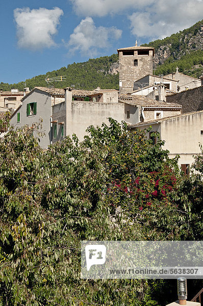 Mallorca  Spanien  Europa