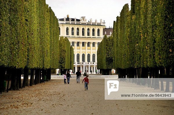 Wien  Hauptstadt  Baum  Weg  Palast  Schloß  Schlösser  Menschenreihe  Schloss Schönbrunn  Österreich