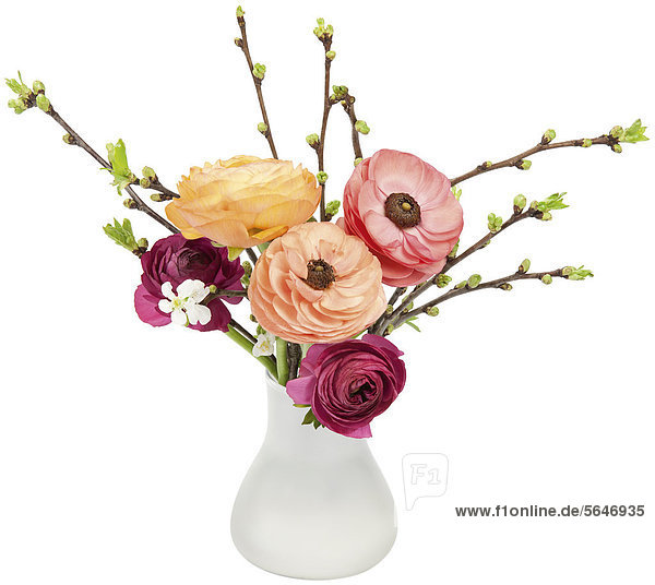 Blumenstrauß in Vase  Ranunkeln und Zweige