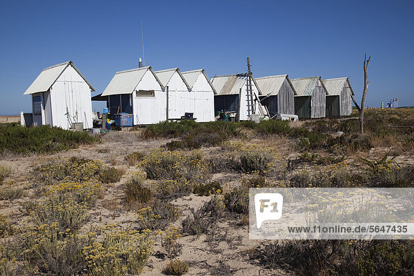 Strandhütten auf Ilha Barretta  Naturpark Ria Formosa  Faro  Algarve  Portugal  Europa