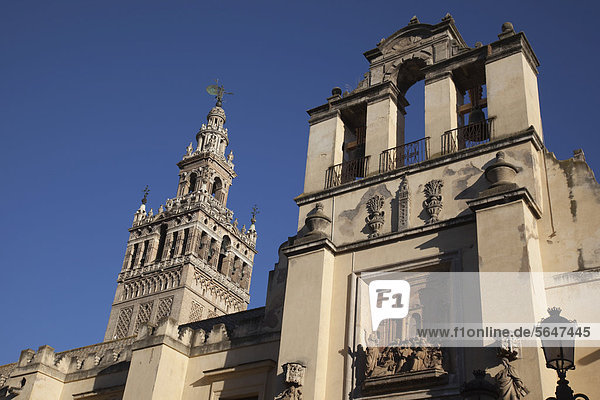 Kathedrale von Sevilla mit dem Turm La Giralda  Sevilla  Andalusien  Spanien  Europa