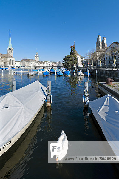 Boote auf der Limmat  Zürcher Altstadt mit Johanneskirche  St. Peter und Grossmünster  Limmatquai  Zürich  Schweiz  Europa