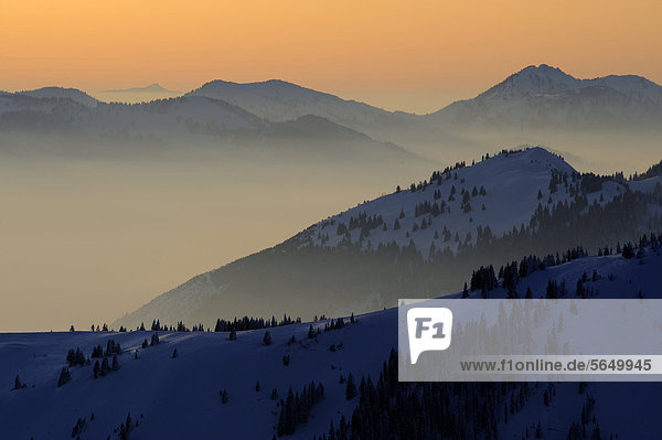 Berggipfel mit Nebelmeer bei Sonnuntergang  Pfronten  Allgäu  Bayern  Deutschland  Europa
