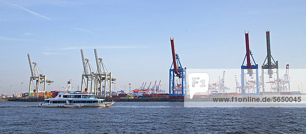 Verladekräne  Hafen  Hamburg  Deutschland  Europa