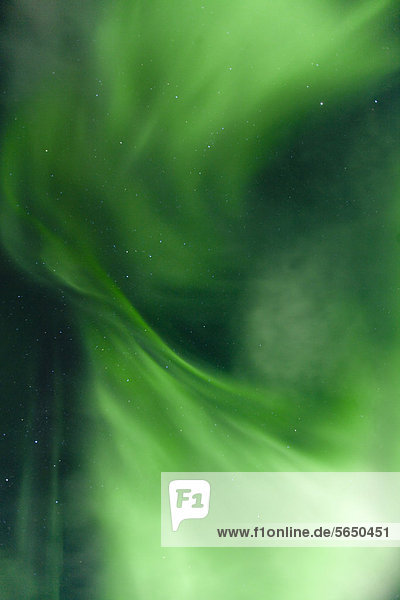 Verwirbelte grüne explosionsartige Polarlichter  Aurora Borealis  in der Nähe von Whitehorse  Yukon Territory  Kanada