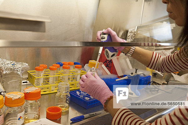 Yat-Chen Chou researches ethanol-producing bacteria for biofuels  research on renewable energy at the National Renewable Energy Laboratory  operated by the U.S. Department of Energy  Golden  Colorado  USA