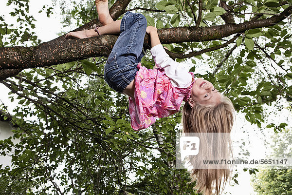 Mädchen am Baum hängend  lächelnd