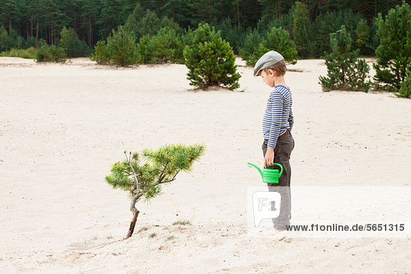 Boy with watering can  looking at plant in sand