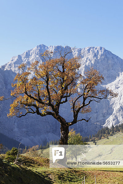 Österreich  Tirol  Blick auf das Karwendelgebirge im Herbst